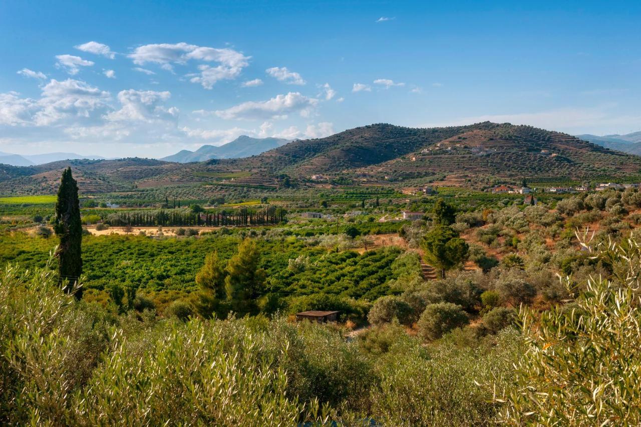 Villa Ktima Constantin Nauplia Esterno foto